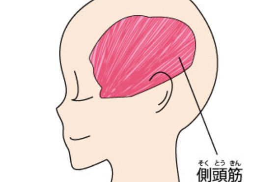 側頭筋は知らないうちに疲れてしまいます